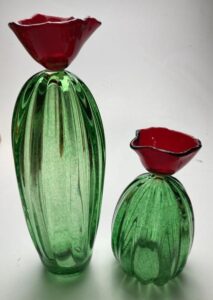 Blown cacti with fused (and draped) flowers.